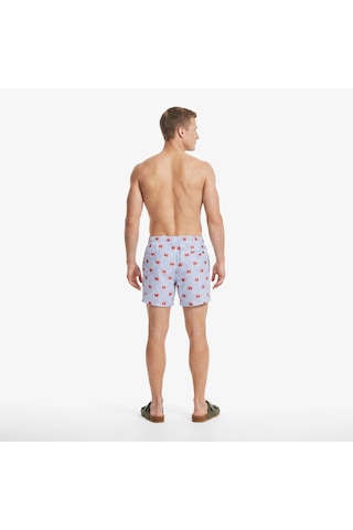 Nautica Regular Fit Erkek Mavi Deniz Şortudesenlit65542t