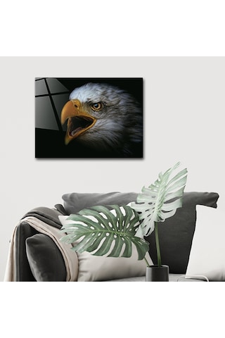 Decorıta Hayvanlar | Cam Tablo | Kartal - Yatay Görünüm