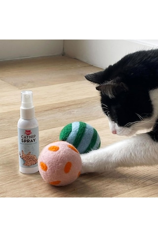 Kikkerland Kiko Spray & Play Cat10