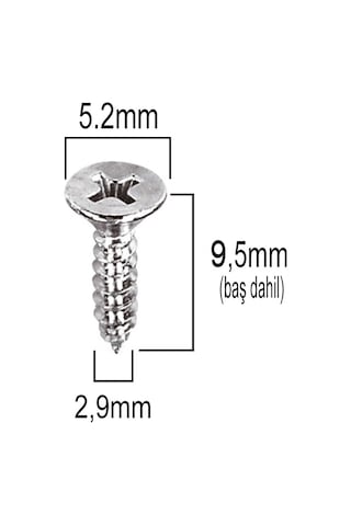 Aletçantam Havşa Başlı Küçük Mini Sac Vida Yhb 2.9x9.5 -500 Adet
