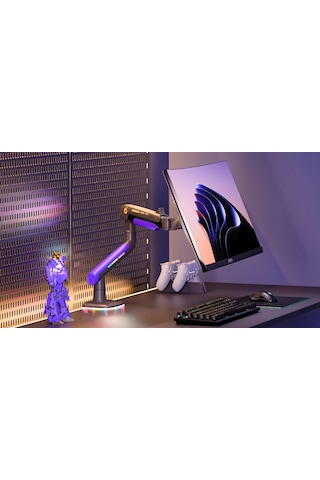 Nb F5-GB Gaming Monitör Kolu 32-60 RGB 2-20 Kg Taşıma Kapasiteli Monitör Tutucu