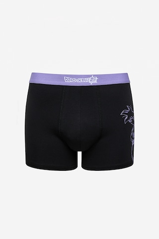 Penti Lic Dragon Ball 2li Çok Renkli Boxer Çok Renkli Çok Renkli