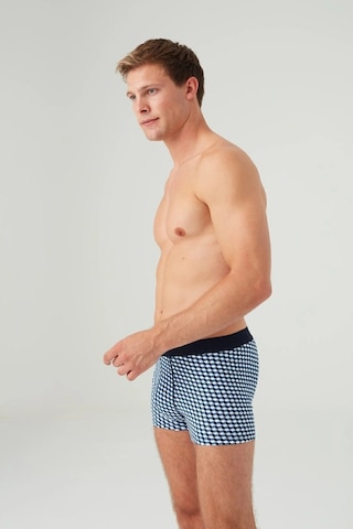 U.S. Polo Assn. Erkek Lacivert Tekli Boxer 80616 Yeşil