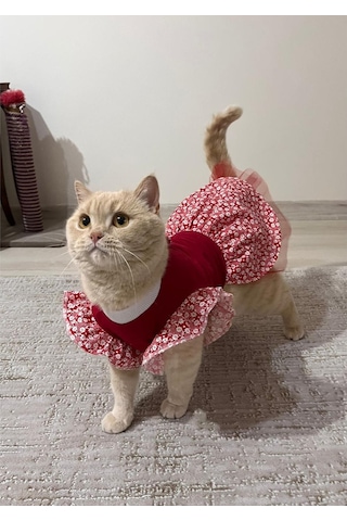 Gobo Çiçek Desenli Papyonlu Kedi Köpek Kıyafeti Elbisesi