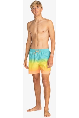 Billabong All Day Fade Lb Erkek Çok Renkli Deniz Şortu Ebyjv00121-64