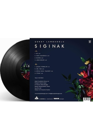 Şenay Lambaoğlu - Sığınak Plak