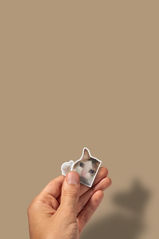 Komik Kedi Diğer