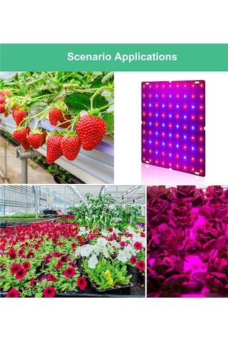 Dofolink 169 Led Kırmızı-mavi Spektrum Bitki Büyüme Lambası, İç Mekan Fide Yetiştirme Işığı, 100-277v, 12w Avrupa Standartı Şarj Aleti Diğer