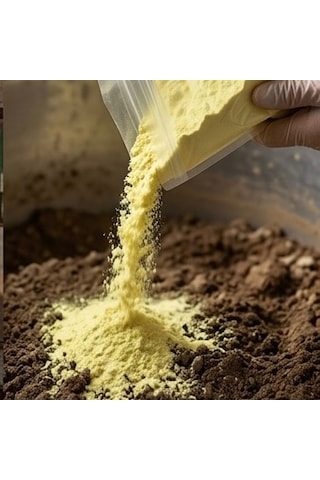 Kükürt Dökme 1 Kg