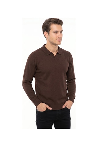 Foterman Erkek Spor Polo Yaka Mevsimlik Kazak Bgl-st05444 Kahverengi