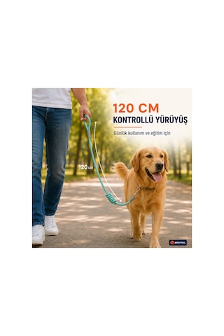 Evcil Hayvan Fitil Gezdirme Tasması 10 Mm X 120 Cm Kedi Köpek Gezdirme İpi Çok Renkli