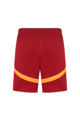 Puma Galatasaray S.k. 24/25 Erkek İç Saha Futbol Şortu 779674 01