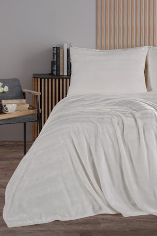 Zebracasa Cozy Tek Kişilik Battaniye Takımı Krem