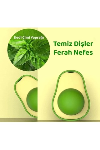 Forzacase Avokado Kedi Nanesi Catnip Kediler için Yalama Topu - FC031