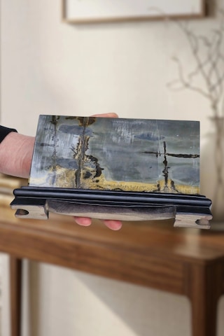 Süper Desenli Manzara Taşı Picture Jasper Dekoratif Parça 9dj