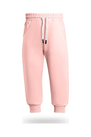 Heyadventure Kız Çocuk Jogger Eşofman Altı Cepli Paçası Kaşkorseli Pudra Pudra