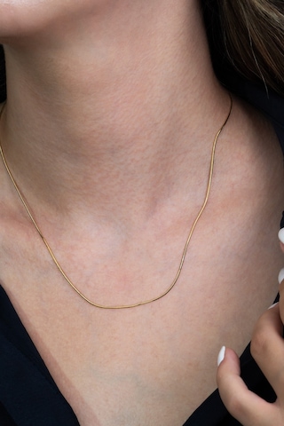 Ince Yılan Snake Gümüş Kolye Zincir Chain 50Cm 2,5Gr Msn20