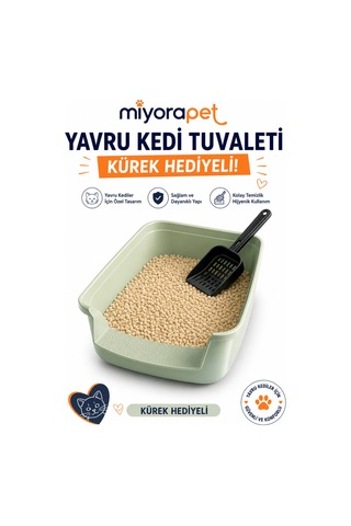 Yavru Kedi Tuvaleti