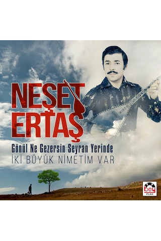 Neşet Ertaş - Gönül Ne Gezersin Seyran Yerinde - Plak