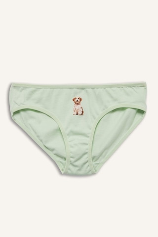 Defacto Hayvan Baskılı Penye 3lü Slip Külot Kız Çocuk H0849a826spyl246 Sarı-yl246
