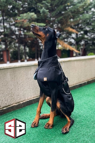 Salya Store Büyük Ve Orta Irk Su Geçirmez Köpek Montu Km-104