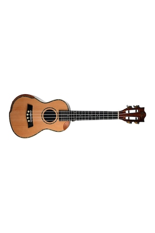 Gstyle Uk-24kht Concert Ukulele