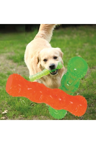 Pawise 18 CM Sesli Çubuk Kemik Köpek Oyuncağı Çok Renkli