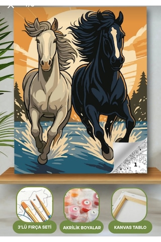 Denic Sayılarla Boyama Seti 40x50 Cm (Çıtalı) Fırça Boya Dahil Numaralı Tuval Beyaz ve Siyah At