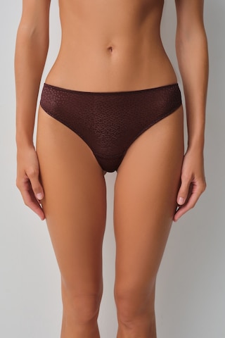 Suwen Mocha Brazilian String Külot Wsl102103191460 Bitter