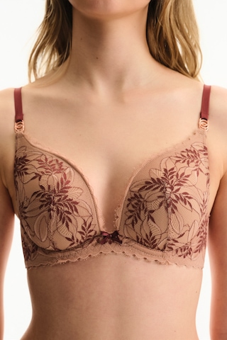 Penti Bej Intense Lace Dantel Push Up Destekli Sütyen
