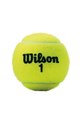 Wilson Tenis Topu Championship Xd 3lü Wrt100101