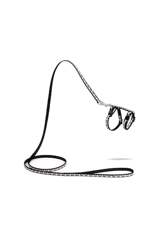 Beeztees Yavru Kedi Göğüs Tasması Ve Gezdirme Kayışı 120cm, Siyah, 16-25cm Boyun, 23-36cm Göğüs