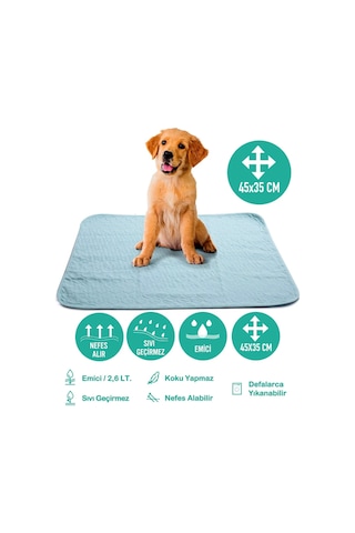 Abso Yıkanabilir Emici Tuvalet Eğitim Köpek Pedi 45 x 35 CM