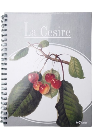 Le Color Meyveli 2+1 Kareli & Çizgili Spiralli Defter - 2 Adet