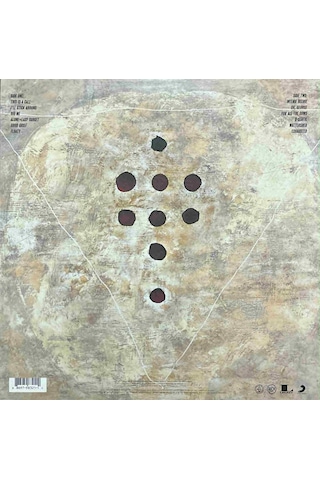 Foo Fighters Foo Fighters Lp Plak