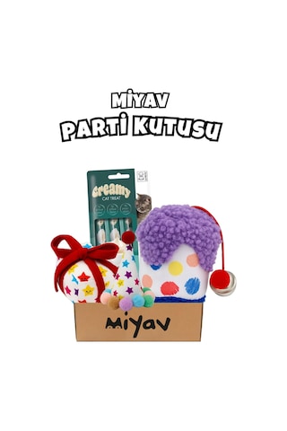 Kedi Parti Kutusu  4'lü Set