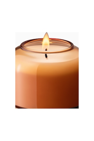 Bork Aroma Candle Hf402 4 Baharatlı Karabiber, Oud Ve Paçuli Mum El Işçiliği Çok Renkli
