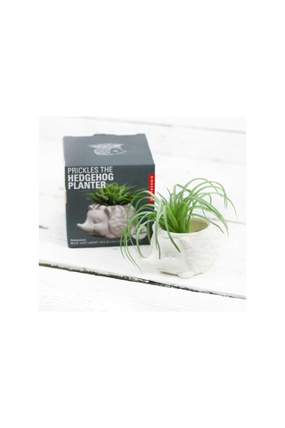 Kikkerland Prıckles The Hedgehog Planter Seramik Kirpi Saksı