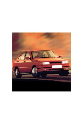 Vites Kolu Ayar Eksantrikli, Seat Toledo Uyumlu 1992-1998 Açık Gri