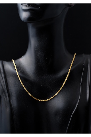 Bilezikci Burgu 14 Ayar Altın Zincir 45 Cm.