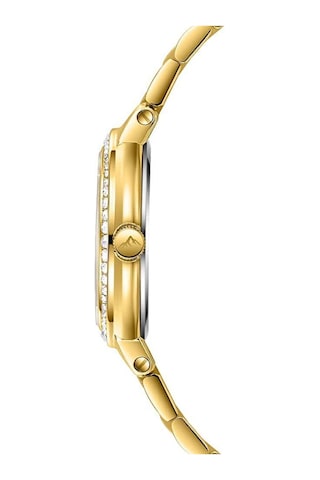 Roche Montre Rml3000-02 Kadın Kol Saati Altın