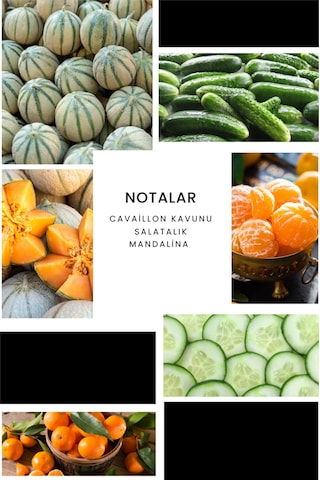 Ixora E034 Assist Erkek Parfüm EDP 100 ML