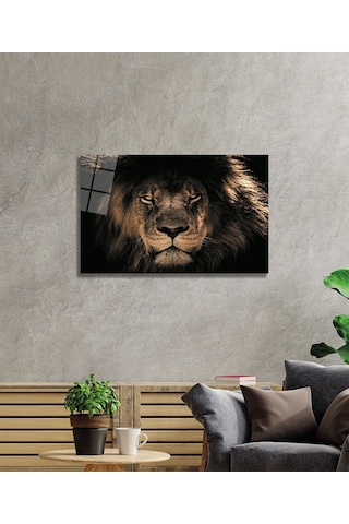 Aslan 14 Cam Tablo
