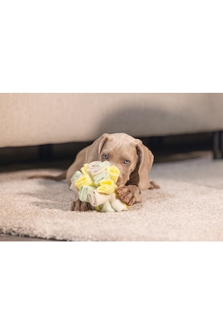 Beeztees Köpek Ödül Saklama Oyuncağı, Top, Polar, Gri/yeşil, 13cm