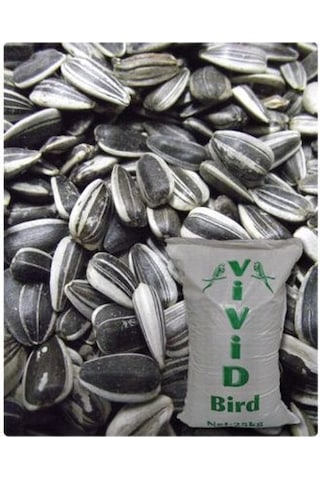 Vivid Küçük Çekirdek Tuzsuz 1kg Praket