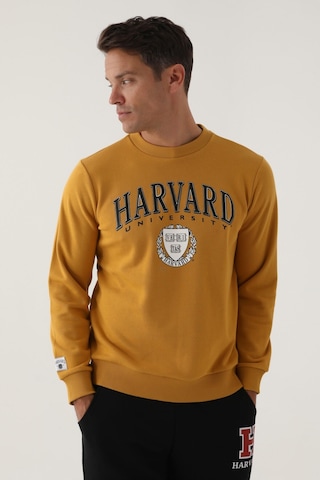 Harvard Koyu Hardal Erkek Sweatshirt Hardal