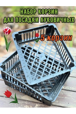 Domdacaogorod Soğanlı Bitkiler Ve Kelebek Yetiştirme Sepeti 263098583