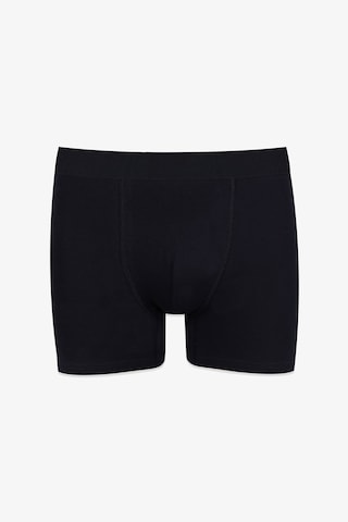 Koza İç Giyim Erkek 2'li Pamuklu Likralı Boxer Ko9004bx-5 Siyah - Sarı