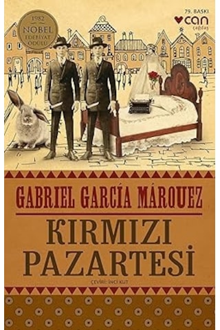 Bilinmeyen Bir Kadının Mektubu: Modern Klasikler Serisi + Beyaz Geceler: Hasan Ali Yücel Klasikler Dizisi + 38 Kitap Set