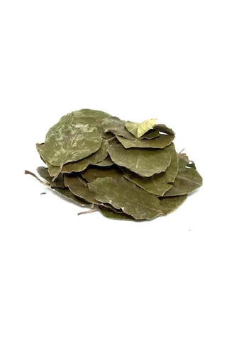 Organik Bitkim Avokado Yaprağı 1000 G